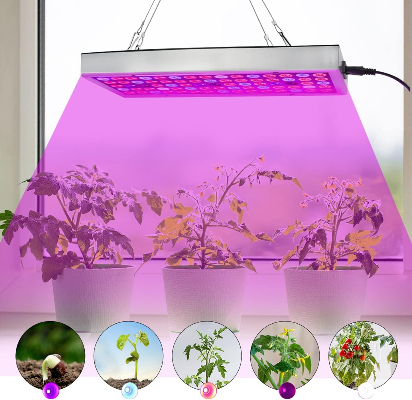 LED Grow Lights, Full Spectrum Grow Lamp with IR & UV LED Plant Lights for Indoor Plants,Micro Greens,Clones,Succulents,Seedlings,Panel Size 12x4.7 inch