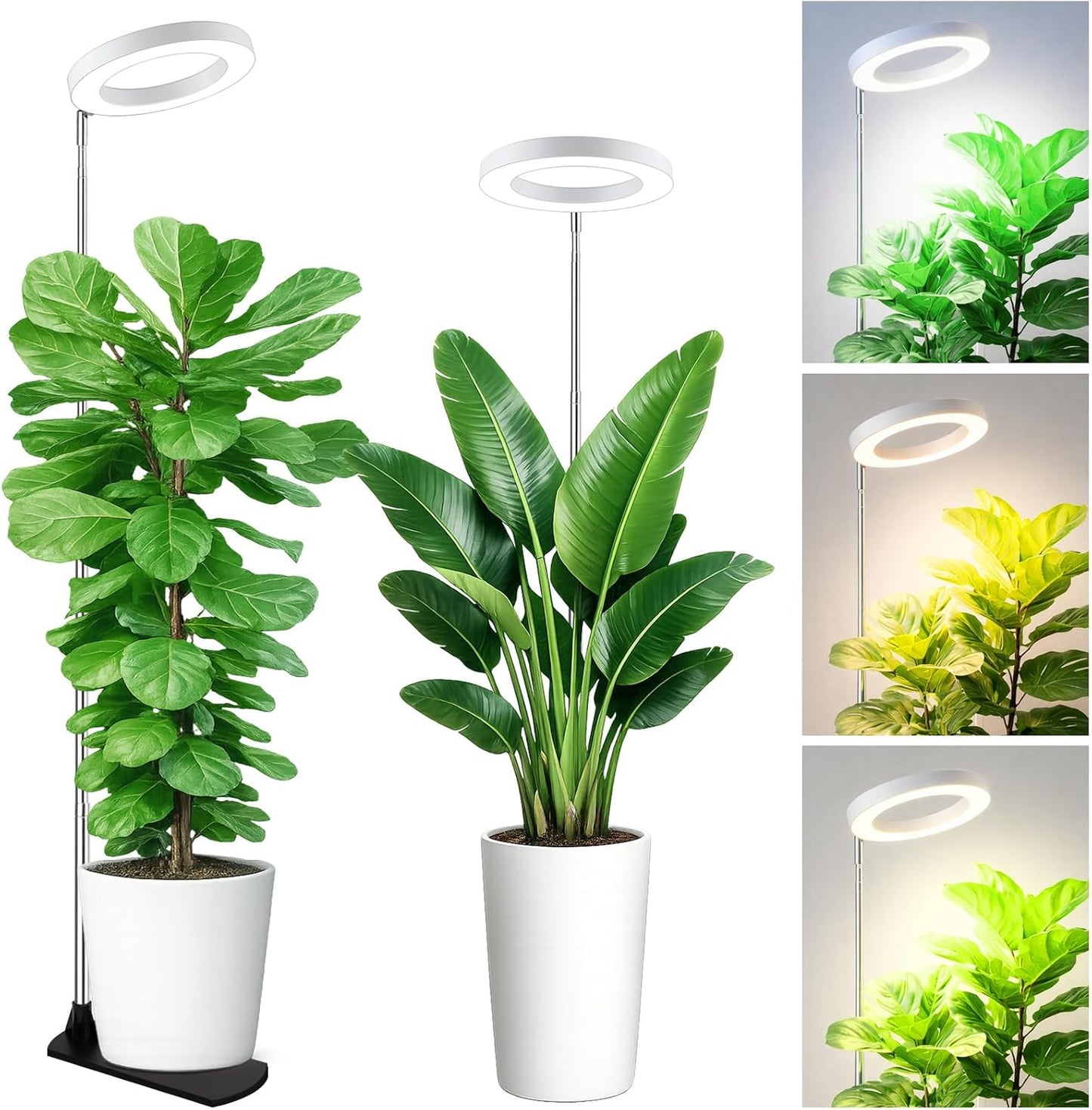 LBW Grow Lights for Indoor Plants, 6.3" Full Spectrum Plant Light with Base, 59" Height Adjustable Grow Lamp, 6/8/12/16H Auto Timer, 3 Color, 5 Dimmable Level, for Tall Large Plants, White, 2 Pack
