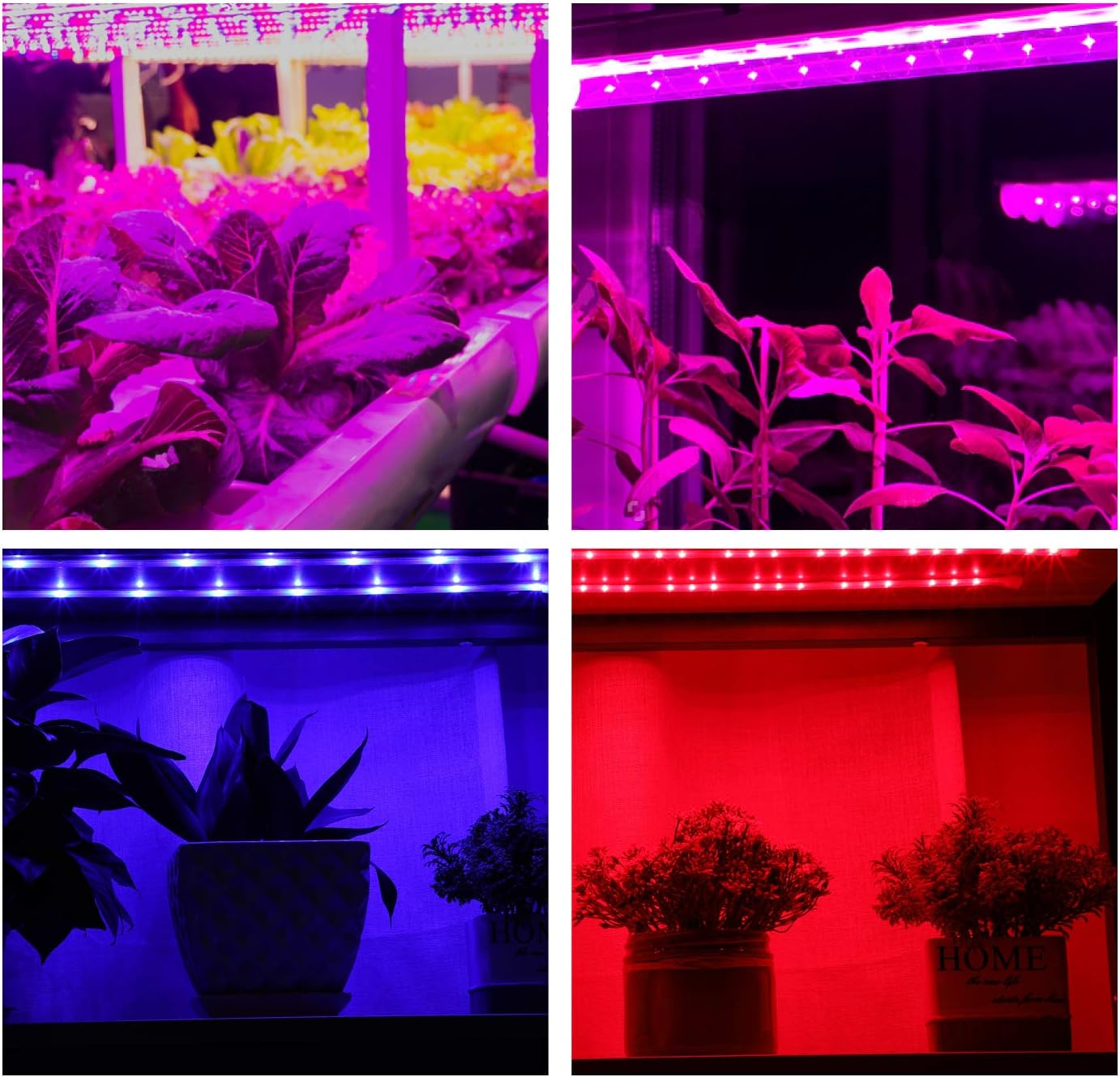OxyLED 15W 6 Ft Full Spectrum LED Plant Light, 5 Dimmable Levels, Waterproof Suitable for Indoor Plants, Hydroponics, Gardening