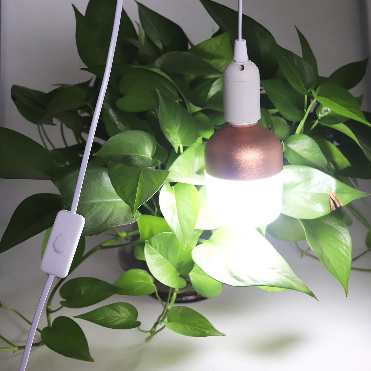 4 pcs E26/E27 LED Light socket 5.9FT extension cord with On/Off switch and US AC Power Plug Bulb Socket for Pendant Lighting Bulb Lamp in Kitchen Bedroom Restaurant (4 Packs)