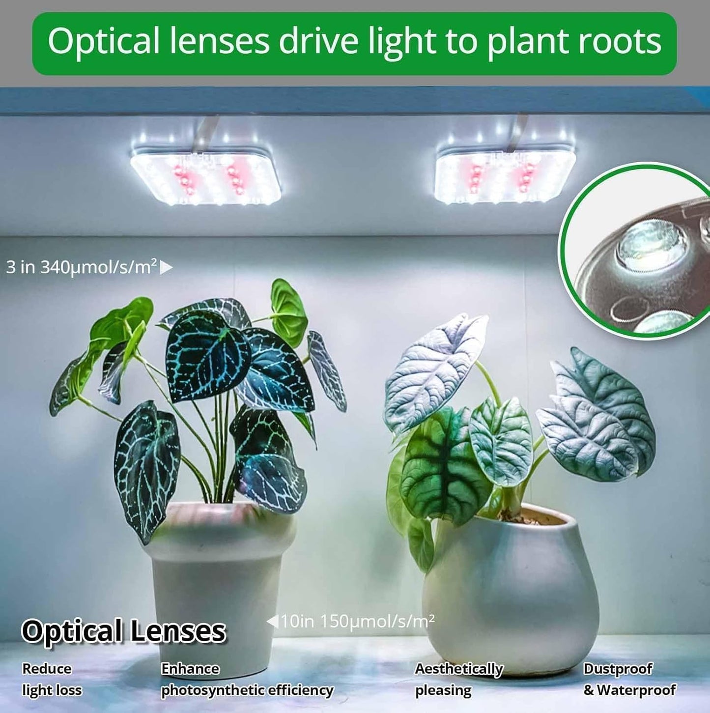 Full Spectrum LED Grow Light for Indoor Plants, 2 Panels 10W with 6/12/16h Timer Dimmable Plant Lights for Flower Veg Plant Growth USB, Daylight White, 1-Pack