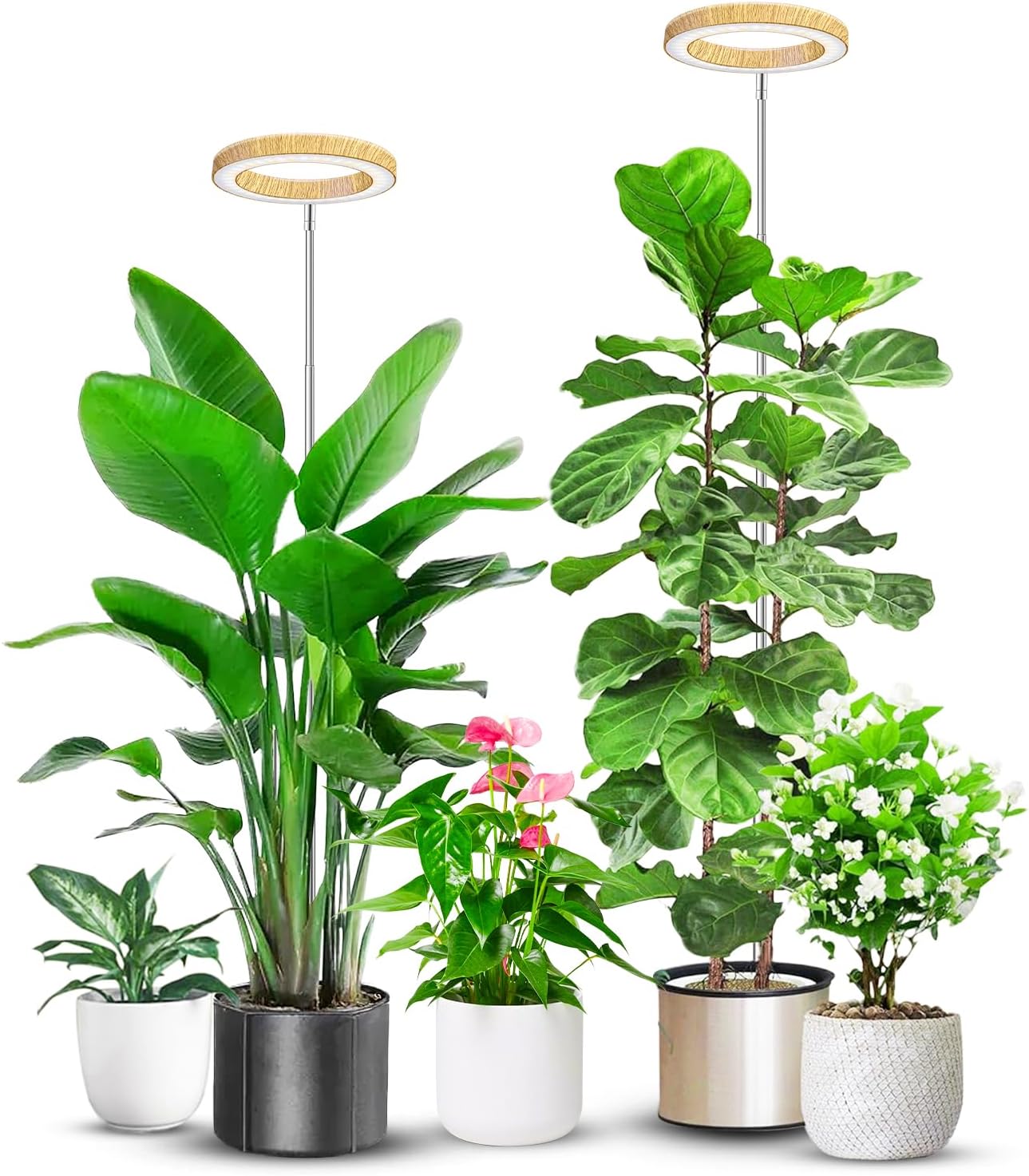 Aokrean Grow Lights for Indoor Plants, Full Spectrum Plant Lights for Indoor Growing with 6/12/16H Timer, 3 Optional Spectrums, 5 Brightness, Height Adjustable 10"-65" Wood Grain Growing Lamp