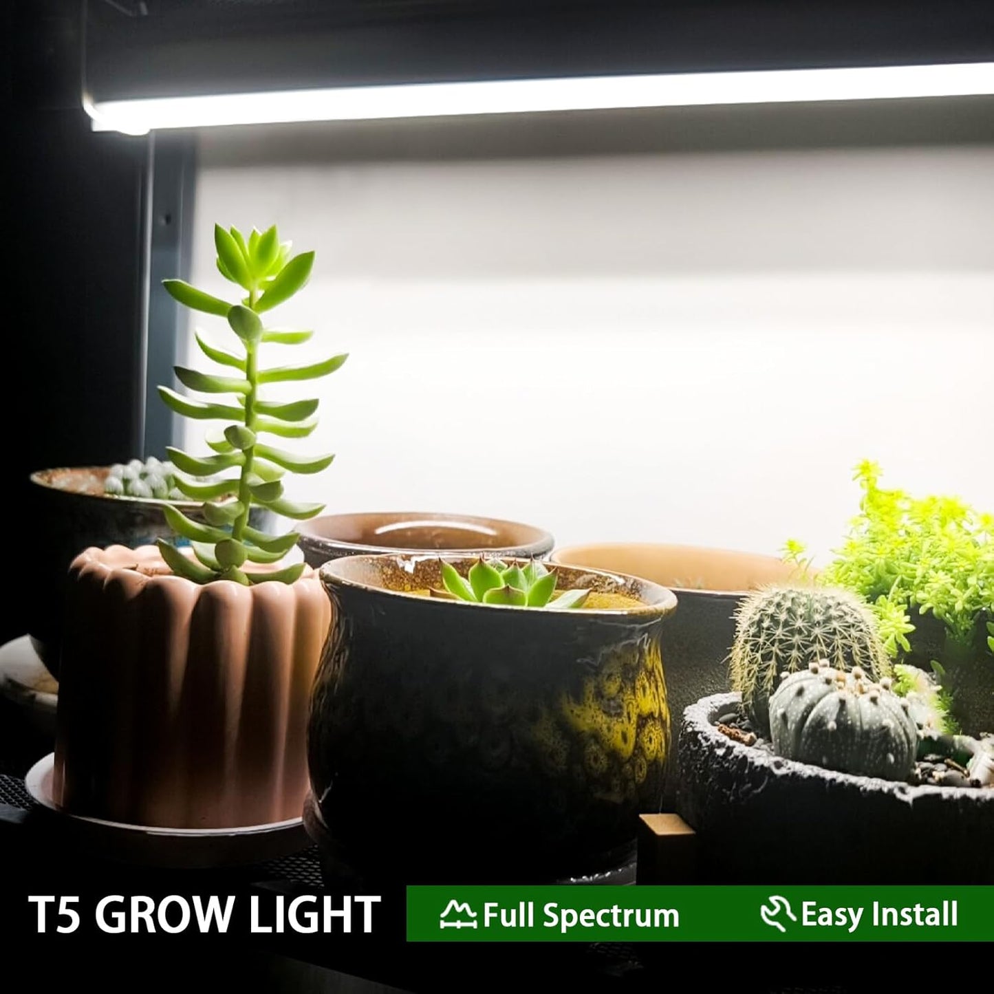 F24T5/865 6 Pack 22 Inch T5 Fluorescent Grow Light Bulbs, 24W 6500K Full Spectrum, 2000 Lumens, High Output (HO) Bulbs for Indoor Plants, Seedlings, Veg Growing, Sunlight White, Energy Efficient