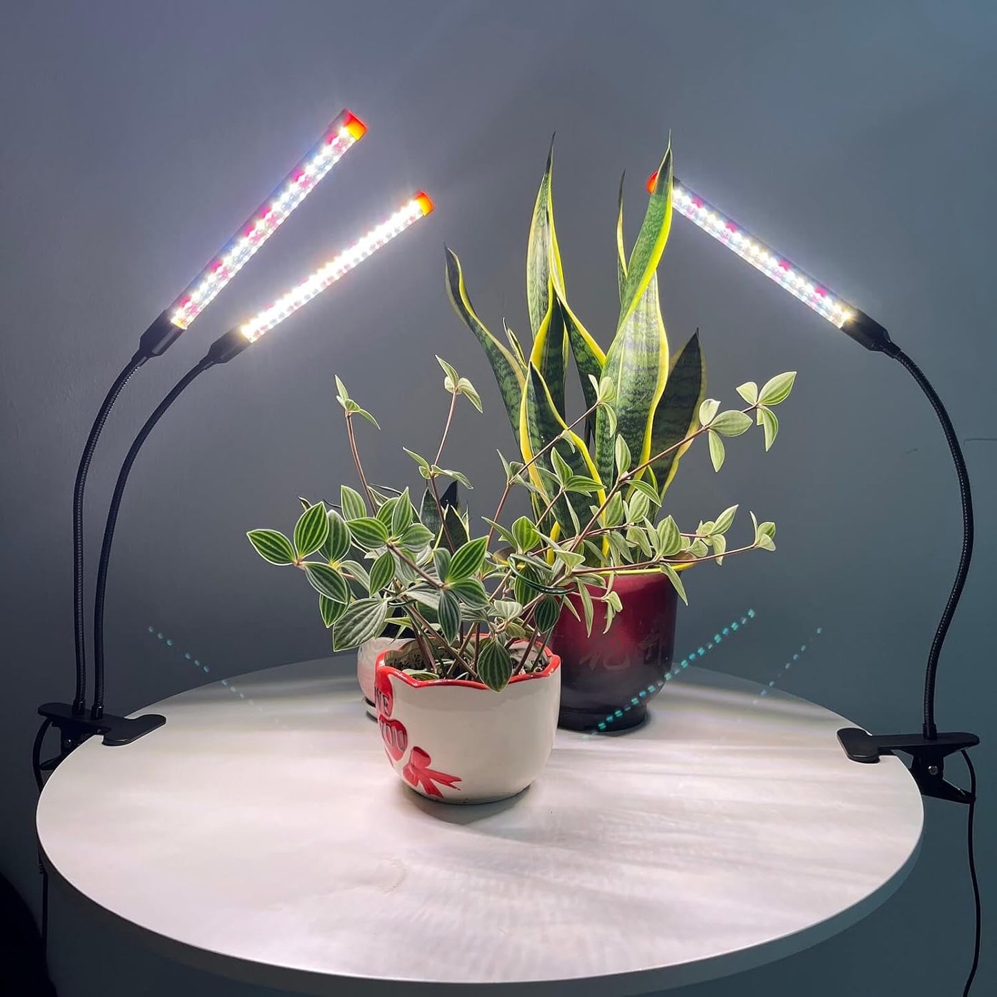 Small 2Head Clip Grow Lights for Indoor Plants, Seed Starting, Bonsai, Succulent, Bright Plant Growing Lamps, 4/8/12/16/20H Timer, 18 Watt Power Draw, NO Need Adapter
