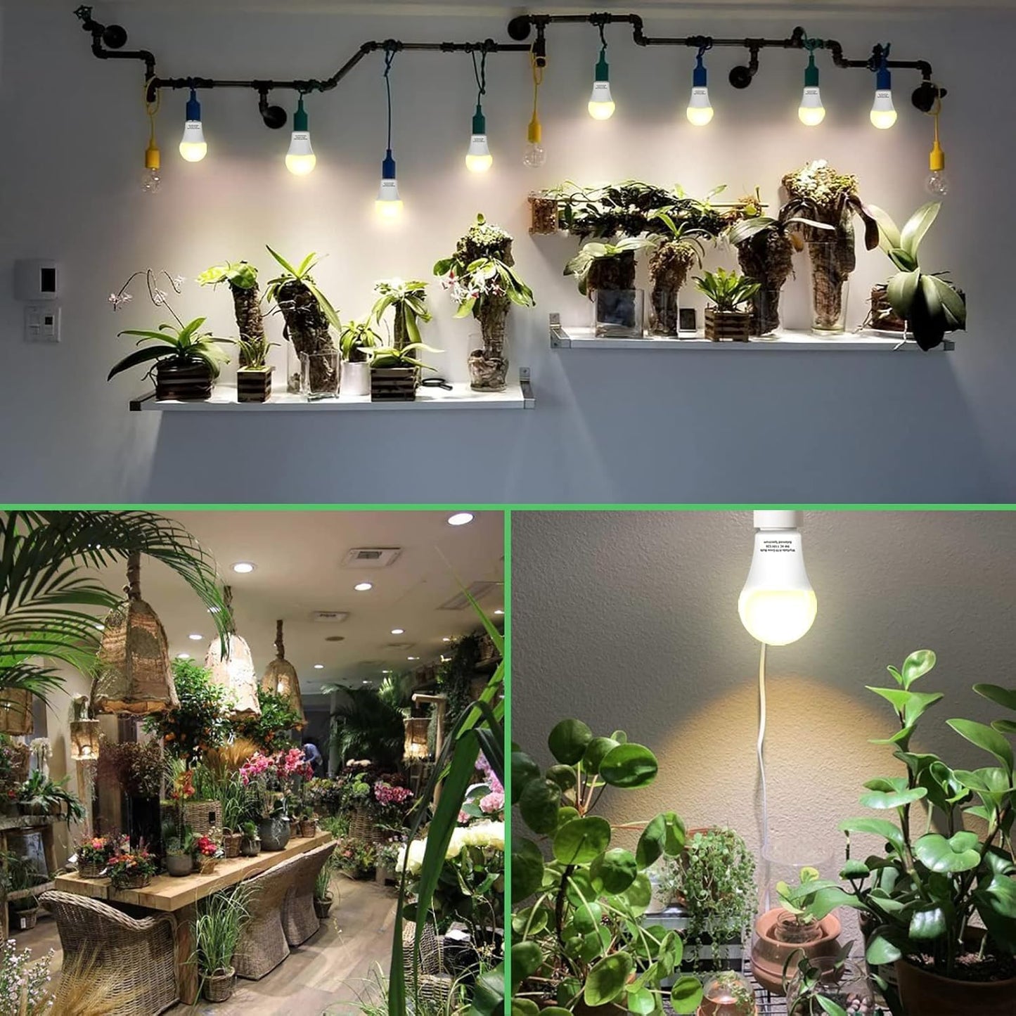 6 Pack Full Spectrum Grow Light Bulbs,A19 Grow Lights for Indoor Plants,Dimmable E26 9W Grow Bulb Replace up to 100W,Plant Lights for Indoor Growing,Flowers,Greenhouse,Indore