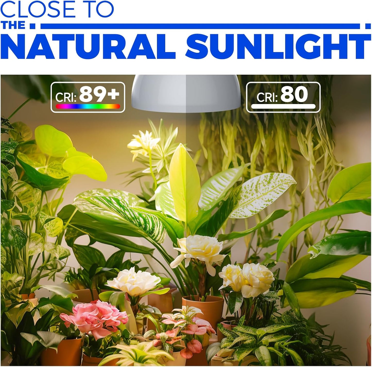 Barrina Hanging Grow Lights for Indoor Plants, 25W Full Spectrum, with Timer and 16.4FT Power Cord, Pendant Plant Lights for Indoor Growing, Large Tall Plant, Garden, Flowers, Greenhouse