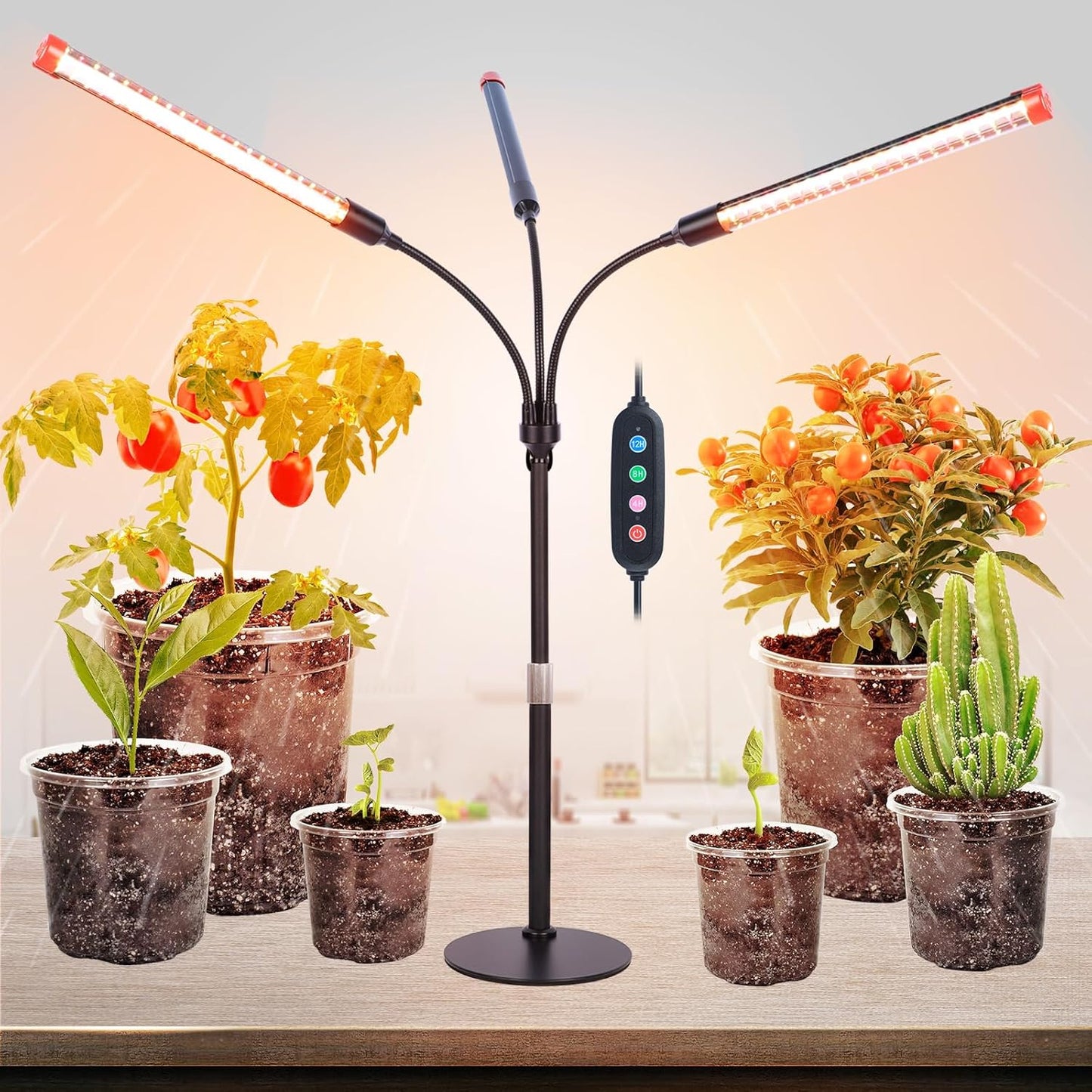 FRGROW 3Head Tabletop Grow Lights for Indoor Plants, Seed Starting, Vegetables, Bonsai, Bright Desk Plant Growing Lamps, 4/8/12/16/20H Timer, 27 Watt Power Draw, NO Need Adapter, 360° Gooseneck