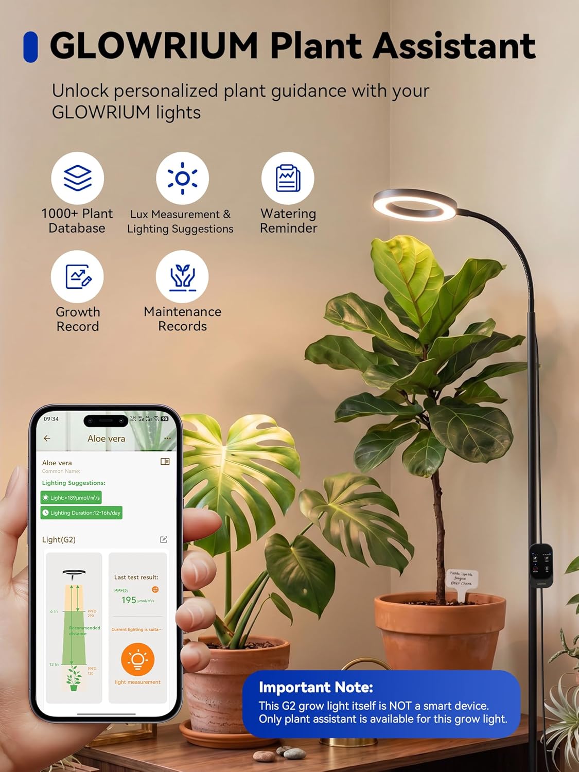 GLOWRIUM Grow Lights for Indoor Plants,20W Full Spectrum LED Plant Light with Stand,Adjustable Height,3/9/12H Timer,6 Dimmable Levels & 3 Lighting Modes (Black-Single Head)
