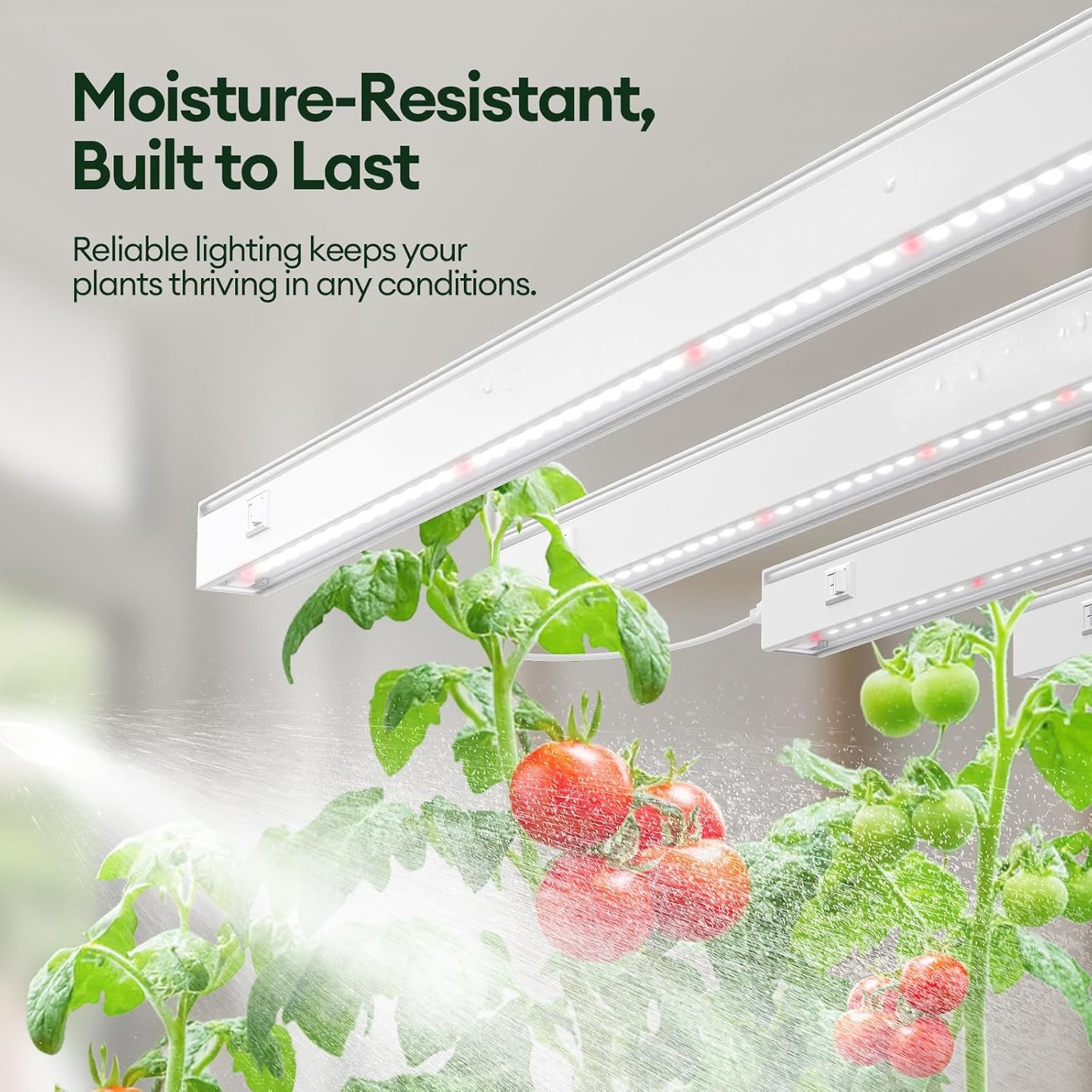 Maygrove T5 Grow Lights for Indoor Plants 2FT, Red-Enhanced Full Spectrum 5000K Grow Light, 60W(4 x 15W), Grow Light Strips for Seed Starting, Greenhouse, High PPFD, Linkable, White, 4-Pack