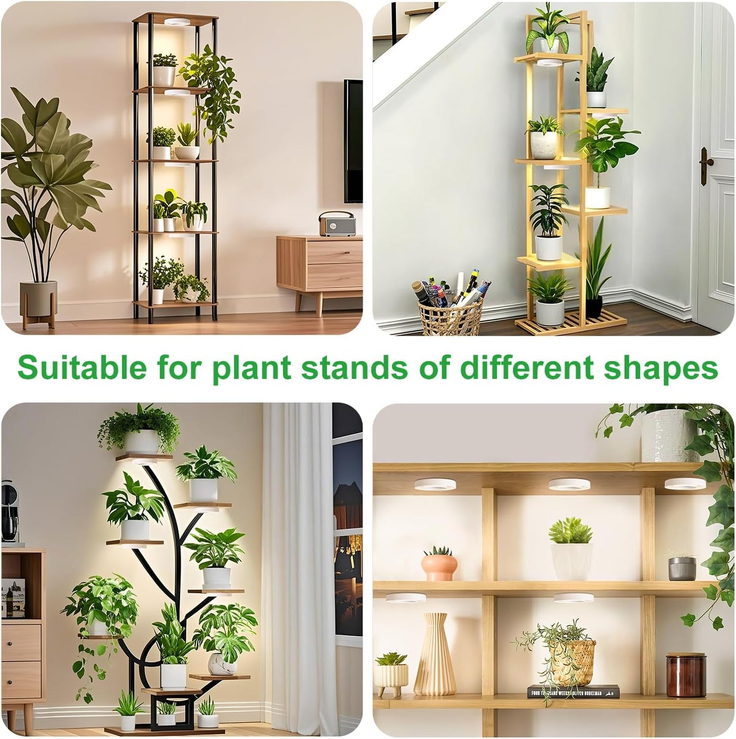 Ceiling LED Plant Growth Lights for Indoor Plants, Warm+White Full Spectrum 3.54" Grow Lamps for Plant Growth with 6/12/16H Timer, 3 Spectral Modes, 10 Dimmable Levels, Halo Angel Ring White (2 Head)