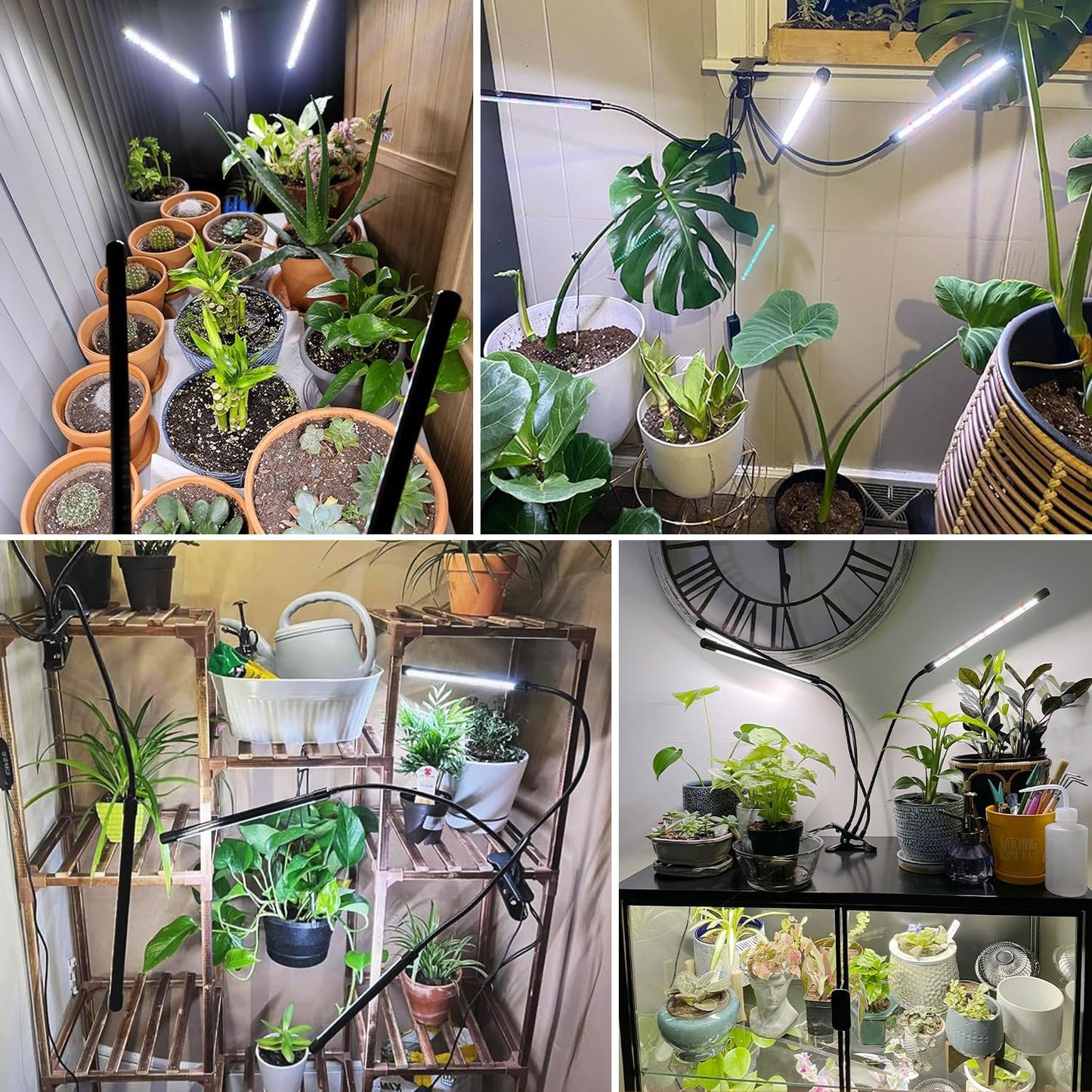 wolezek Grow Lights for Indoor Plants Full Spectrum, 6000K 3 Head Plant Lights Indoor, LED White Plant Grow Lamp with Clip, Auto ON & Off Timer 6/12/16H, 3 Light Modes, 5 Level Dimmable Brightness