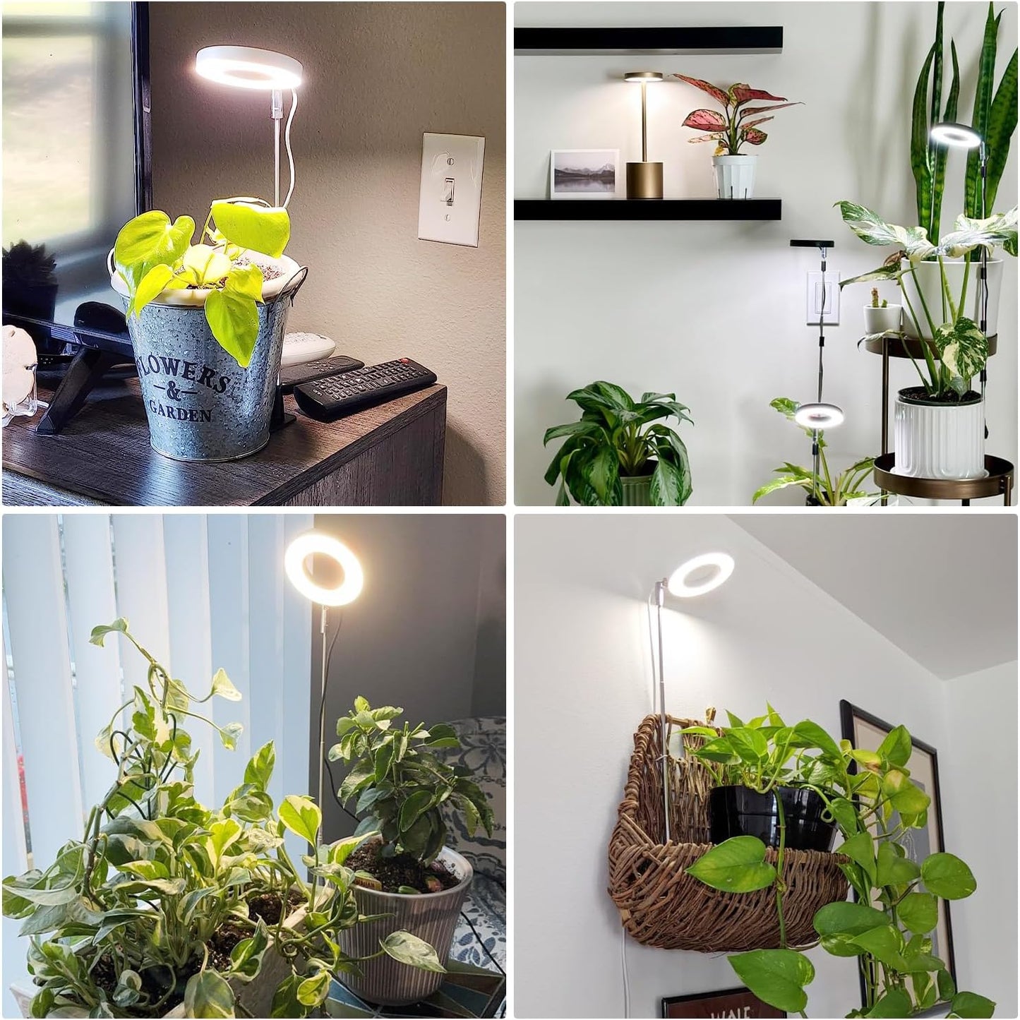 Aokrean Grow Light, Full Spectrum Plant Lights for Indoor Growing with with 3/9/12H Timer, 3 Color Modes, 10 Brightness, 6.5"-26" Height Adjustable Halo Grow Light with Base, 3 Pack(3.4in)