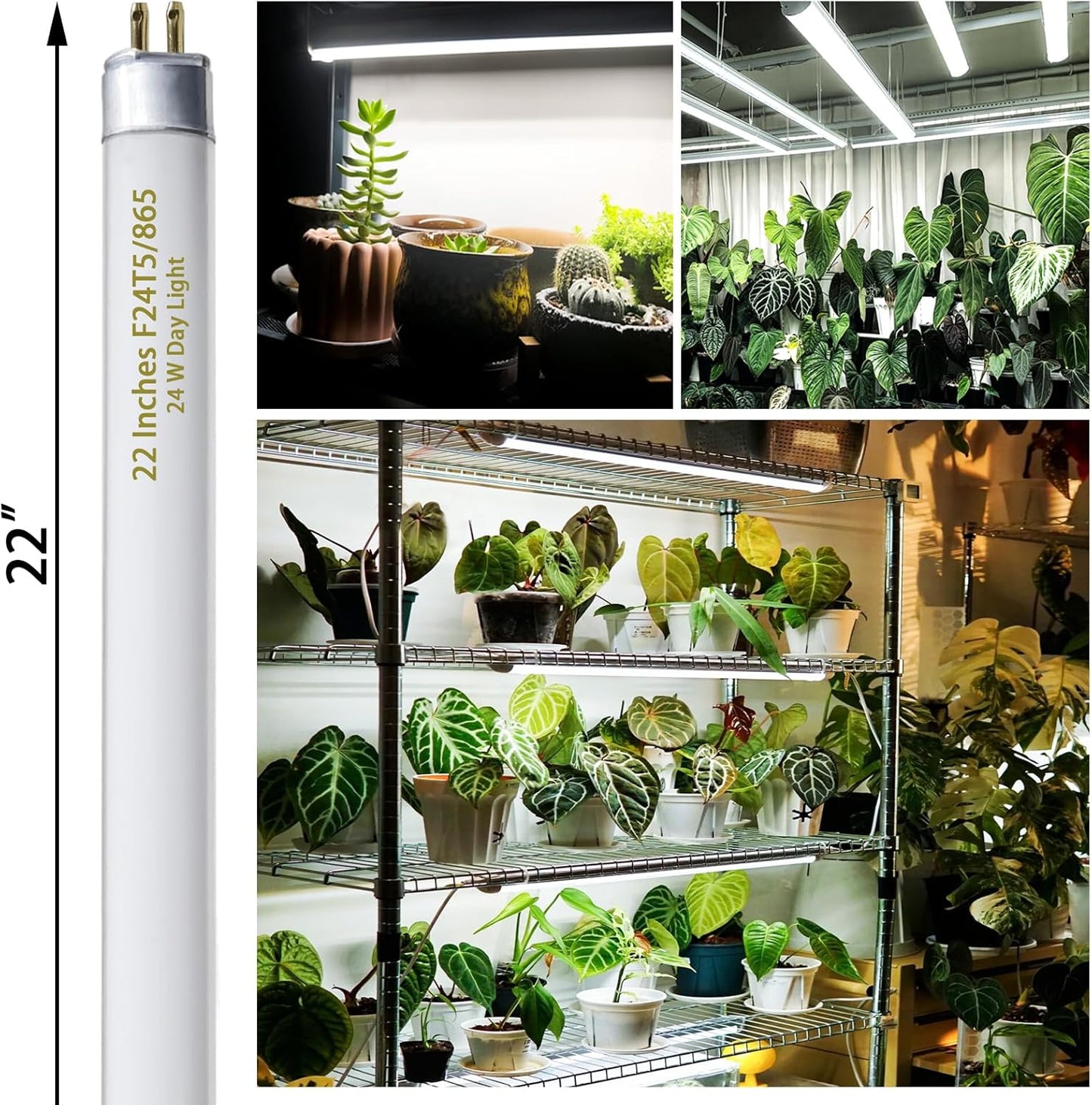 F24T5/865 6 Pack 22 Inch T5 Fluorescent Grow Light Bulbs, 24W 6500K Full Spectrum, 2000 Lumens, High Output (HO) Bulbs for Indoor Plants, Seedlings, Veg Growing, Sunlight White, Energy Efficient