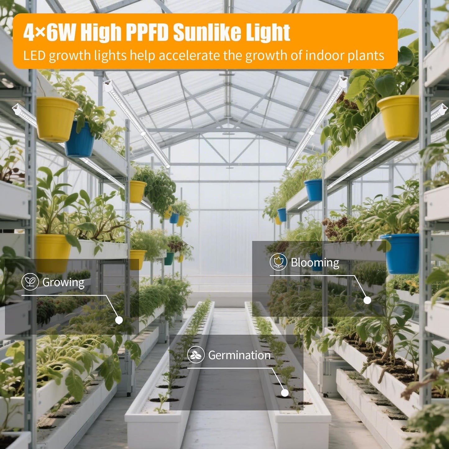 T5 1FT 0.3M 6W×4 White Light 5000K Grow Light Tubes,Full Spectrum LED Grow Lights,6W Energy Efficient,Plug & Play,for Hydroponics/Soil Seedlings Vegetables Herbs Flower (4 Packs)