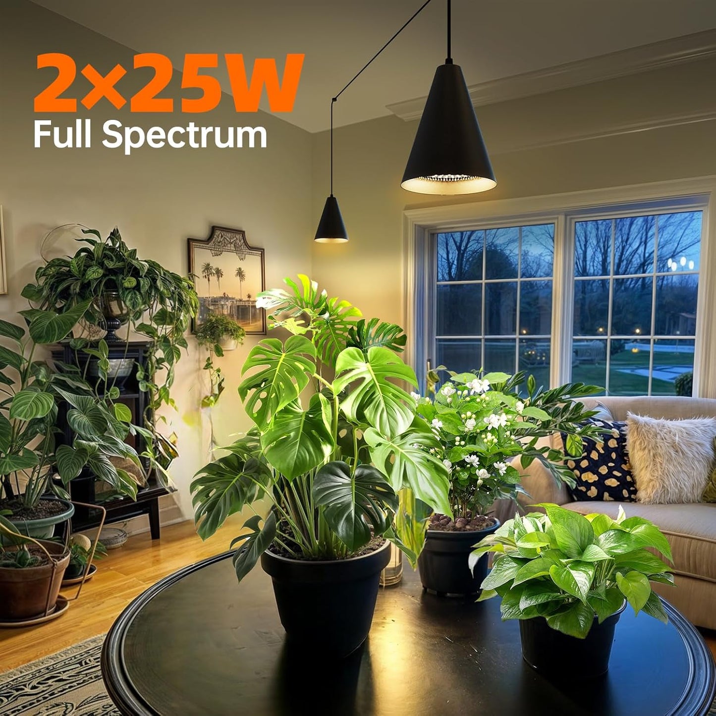 Bstrip 50W Double-Head One Cord Grow Lights for Indoor Plants full Spectrum 3000K, Black LED Grow Light Bulb with Timer & 16.4FT Power Cord, Perfect for Tall Plants, Flowers, and Greenhouses in Winter