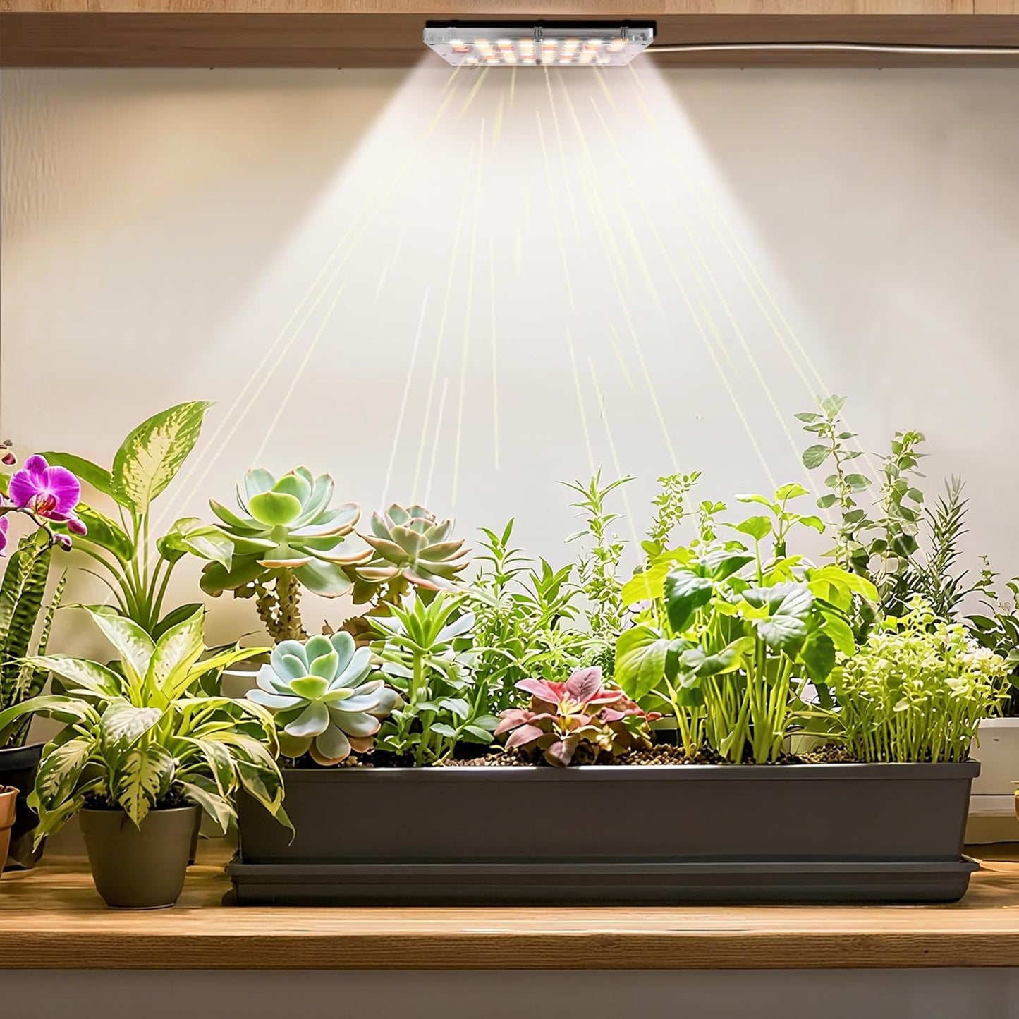 Under Shelf Grow Light, USB Powered Adhesive Stick On LED Under Cabinet Puck Light with Timer, Full Spectrum High PPFD Small Plant Light for Shelves, Indoor Plants, Terrarium, Display Case (3500K)