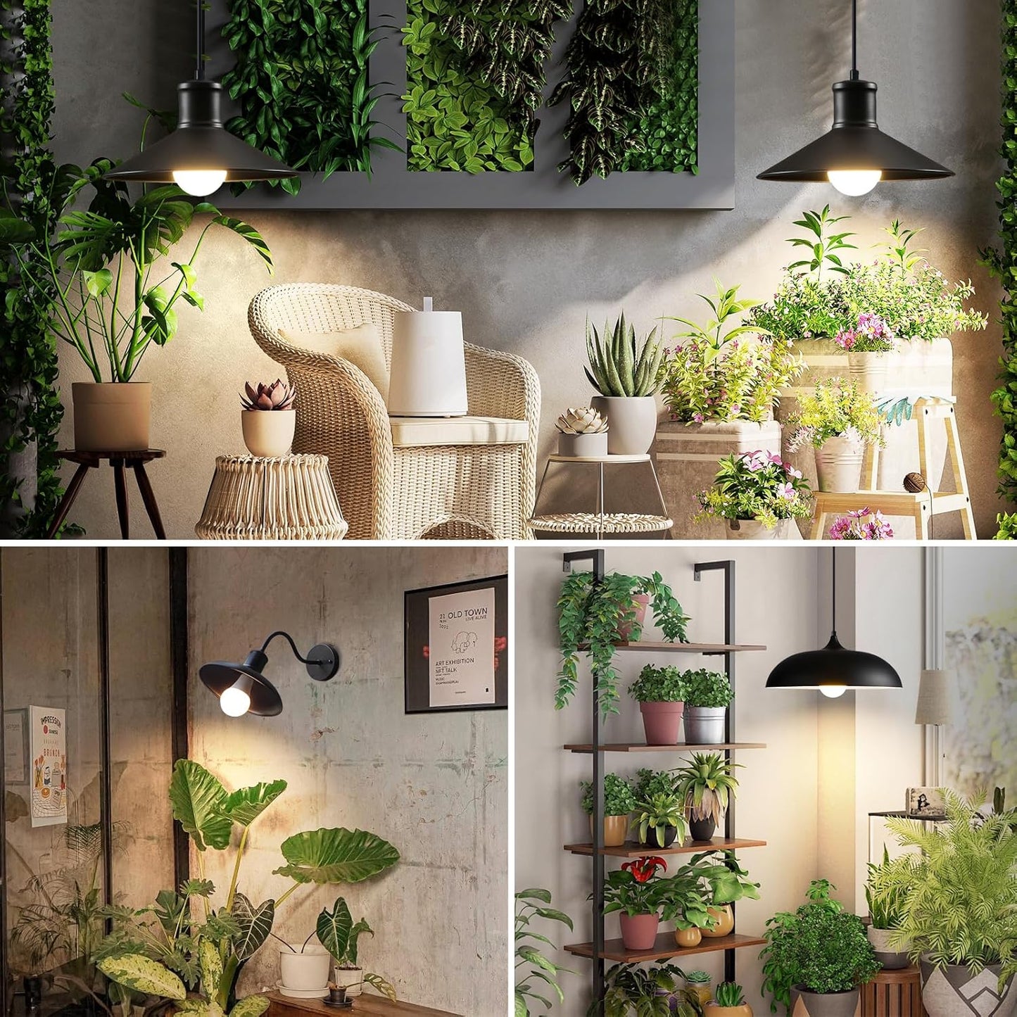 Grow Light Bulbs, A19 Full Spectrum Light Bulb, 9W Plant Grow Lights Bulbs (100W Equivalent), E26 Base, for Indoor Plants, Herbs, Flowers, Vegetables, 6 Pack