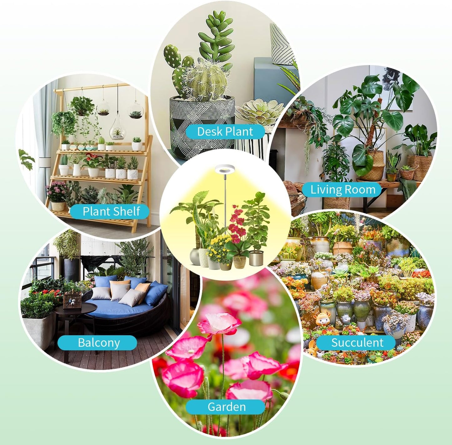 Halo Ring Grow Lights for Small Indoor Plants, Warm+White 96LEDs Full Spectrum Plant Light, Height Adjustable with Adapter, 3/9/12H Timer, 3 Spectral Modes, 10 Dimmable Levels, Angel Ring 2 Pack