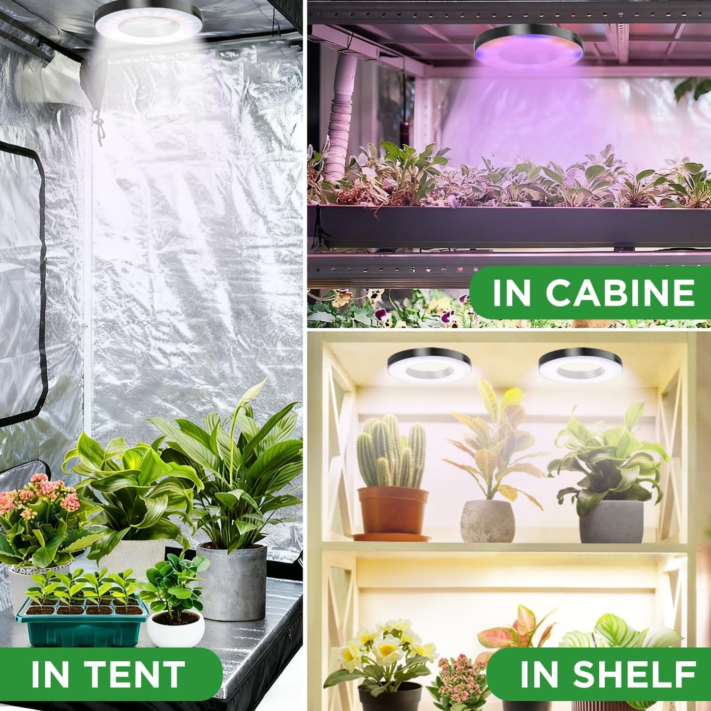 Tri-Head Grow Light for Indoor Plants, 10-Level Dimmable Plant Light with 6H/12H/16H Timer, 144 LEDs Full Spectrum Grow Lamp for Seedlings, 3 Lighting Modes, 7.5ft Long Cord for Under Cabinet, Shelves