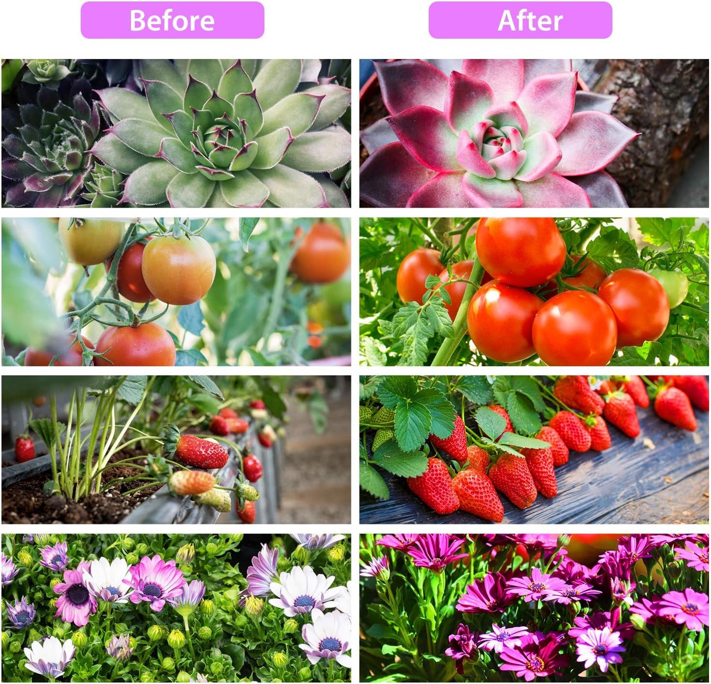 OxyLED 15W 6 Ft Full Spectrum LED Plant Light, 5 Dimmable Levels, Waterproof Suitable for Indoor Plants, Hydroponics, Gardening