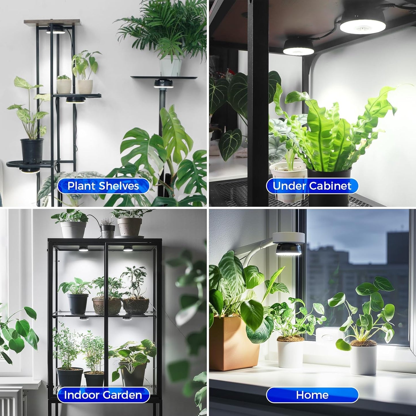 Barrina Orbgrow OG09 Puck LED Grow Light, 5000K 18W(2 x 9W, 270 Watt Equiv), Plant Lights for Indoor Plants Full Spectrum, Magnetic & Linkable, Small Grow lamp, Perfect for Plant Shelf, 2 Packs, Black