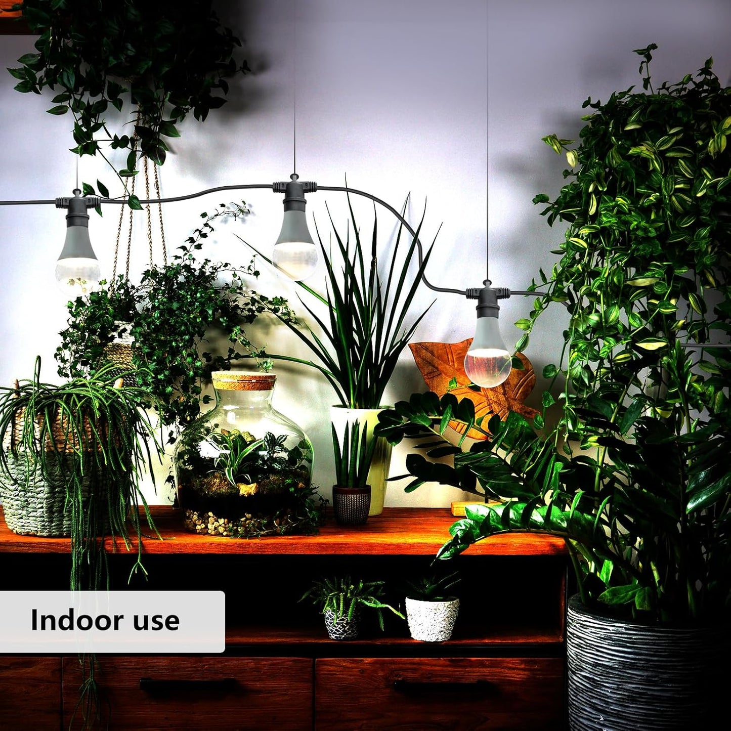Hanging Grow Light String Bulbs LED Growth Bulb A25, Full Spectrum Plant Light E26 Base 15W, houseplant Growting lamp, Greenhouse Indoor or Outdoor (3 Lights and Cord)