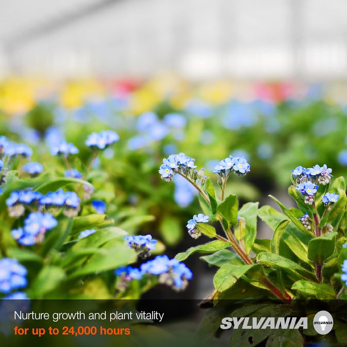 Sylvania 400W Plantastar High Pressure Sodium Grow Light, T14.5, 50,000 Lumens, E39 Base, 100 Volts, 2100K, Clear - 1 Pack (65308)