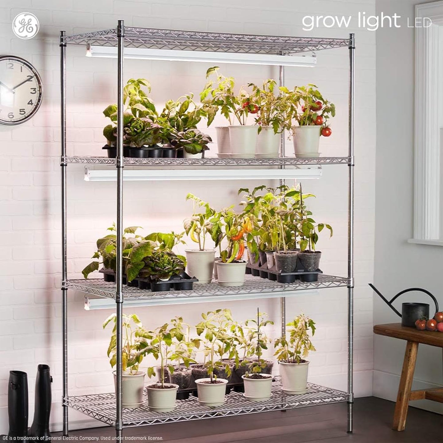 GE Grow Lights for Indoor Plants, BR30 Indoor Floodlight, LED Light Bulbs for Flowers and Fruit, Advanced Red Light Spectrum, 25,000 Hours Lifespan, 15 PPF, 2 Pack (Packaging May Vary)