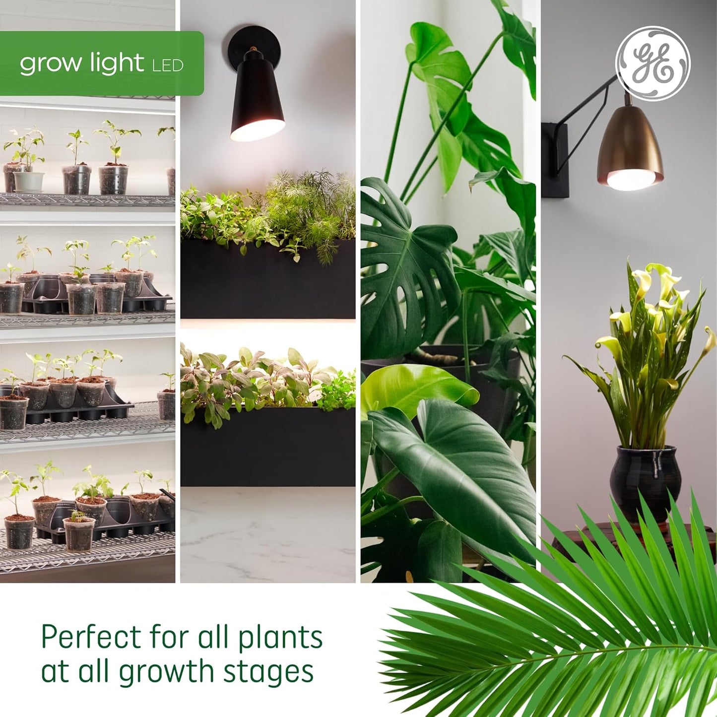 GE Grow Lights for Indoor Plants, BR30 Indoor Floodlight, LED Light Bulbs for Seeds and Greens with Balanced Spectrum, 25,000 Hours Lifespan, 16 PPF, 4 Pack (Packaging May Vary)