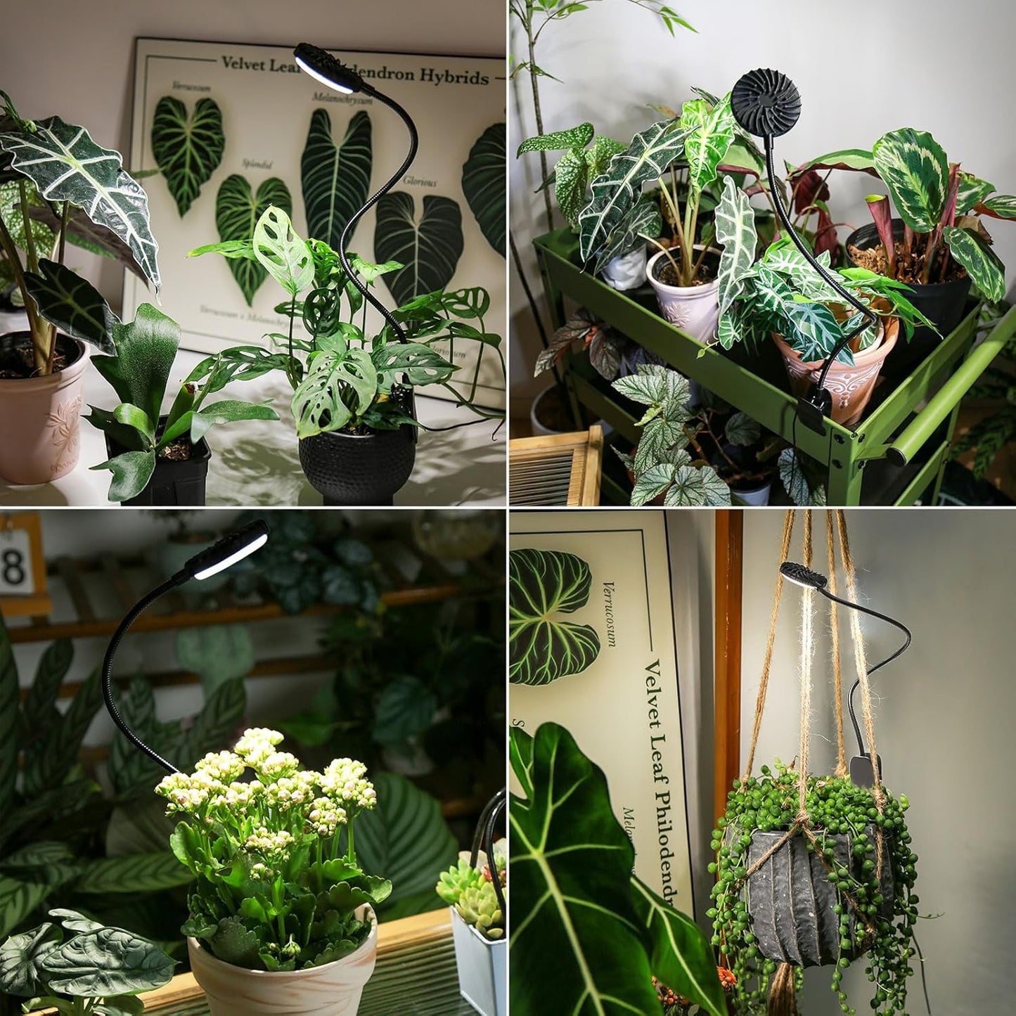 Grow Lights for Indoor Plants, Full Spectrum Plant Grow Lights, 4000K Pot Clip LED Plant Lamps for Indoor Growing with Auto Timer, 4 Dimmable Modes Clip on Light for Succulents Black,1 Pack