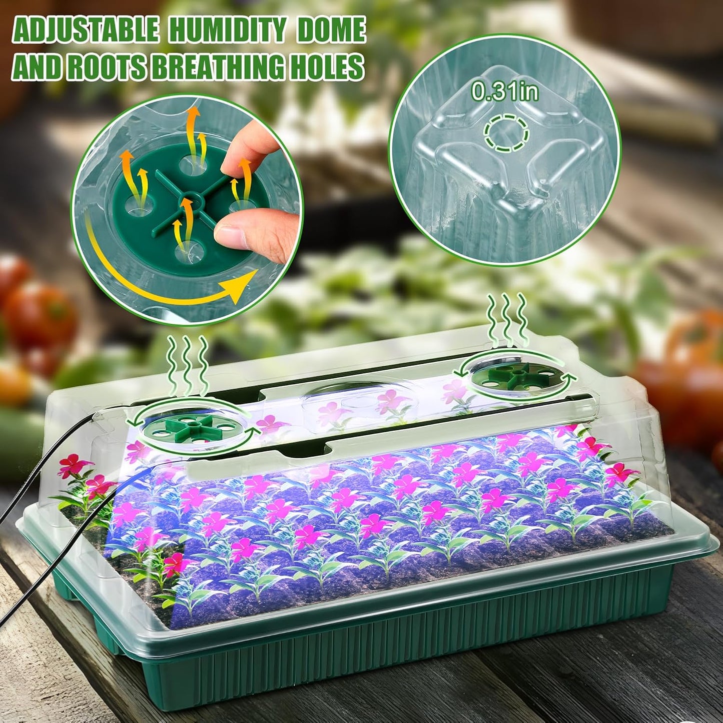 Saillong 2 Pack Seed Starter Tray with Grow Light, 80 Cell Indoor Greenhouse Seed Starting Set with Humidity Dome, 360° Full Spectrum LED, Smart Timer, 5 Brightness Levels for Germination