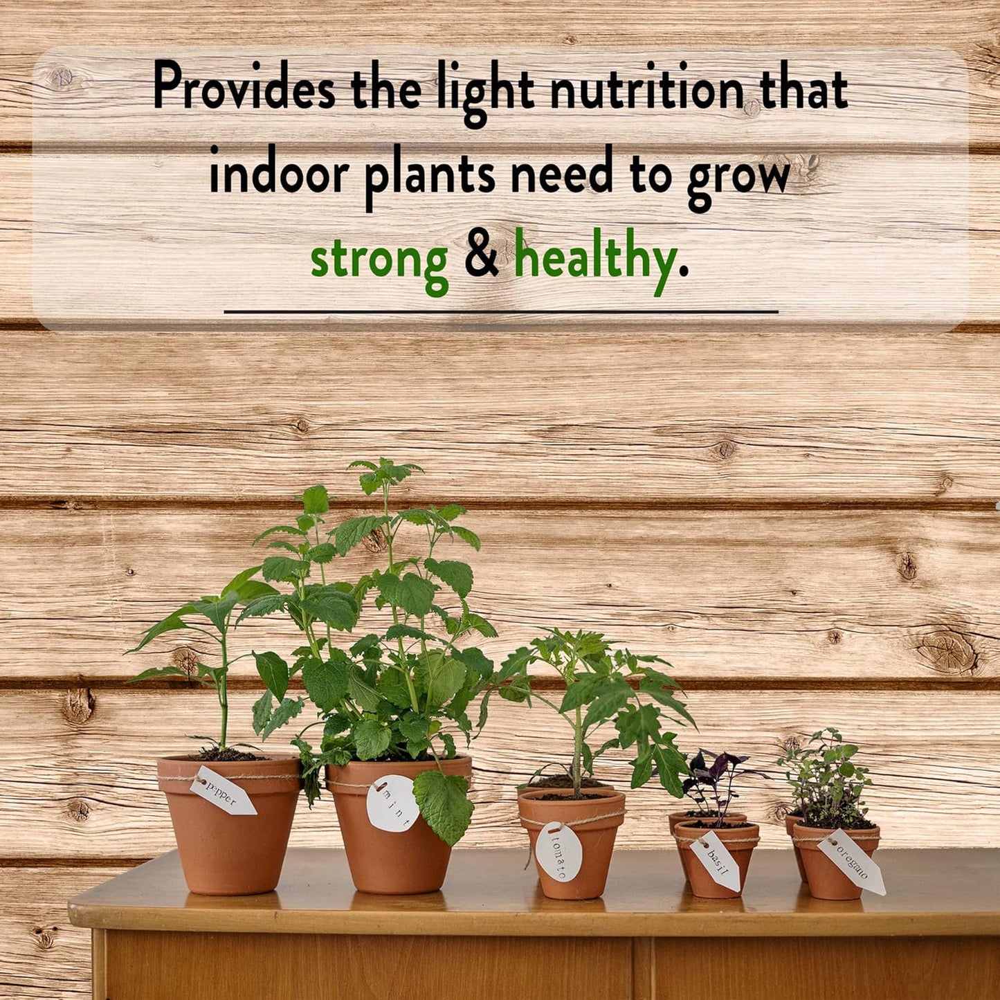 Norb NorbBOTANIC A19 LED Grow Light – Full-Spectrum 9W Plant Light, Mimics Sunlight for Seed Germination, Optimal Indoor Plant Growth, Herbs, Tropical, Houseplants, High-Intensity, E26 Base